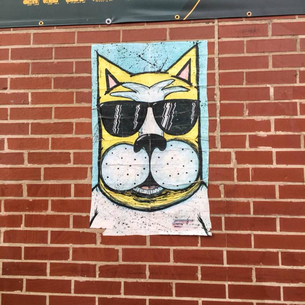 Meet your Posher, Vickie